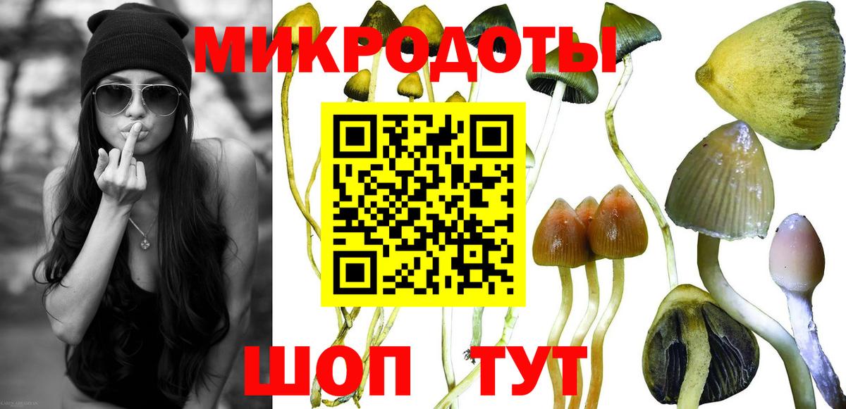 Псилоцибиновые грибы Psilocybine cubensis  Галлюциногенные грибы Cubensis  закладка  Урус-Мартан  Вход с VPN 